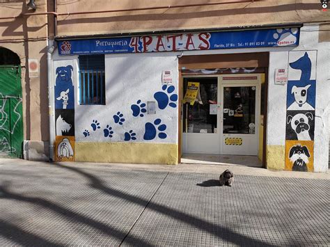 4 patas aranjuez|Perruqueria 4 Patas